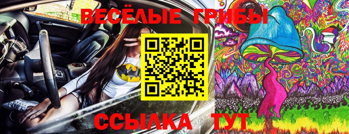 Псилоцибиновые грибы ЛСД Сафоново